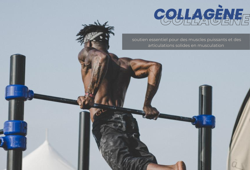 L'importance du collagène