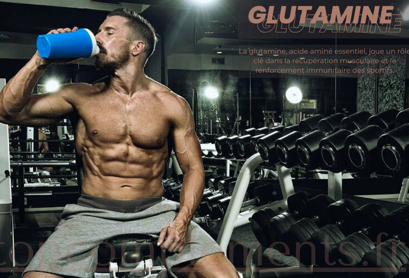 Glutamine et récupération