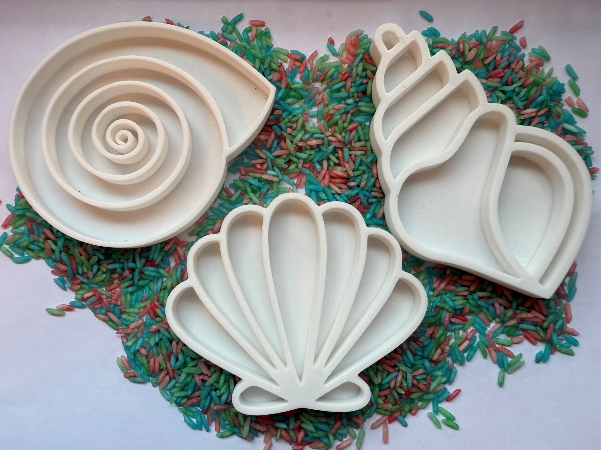 Vulvormen set Schelpen