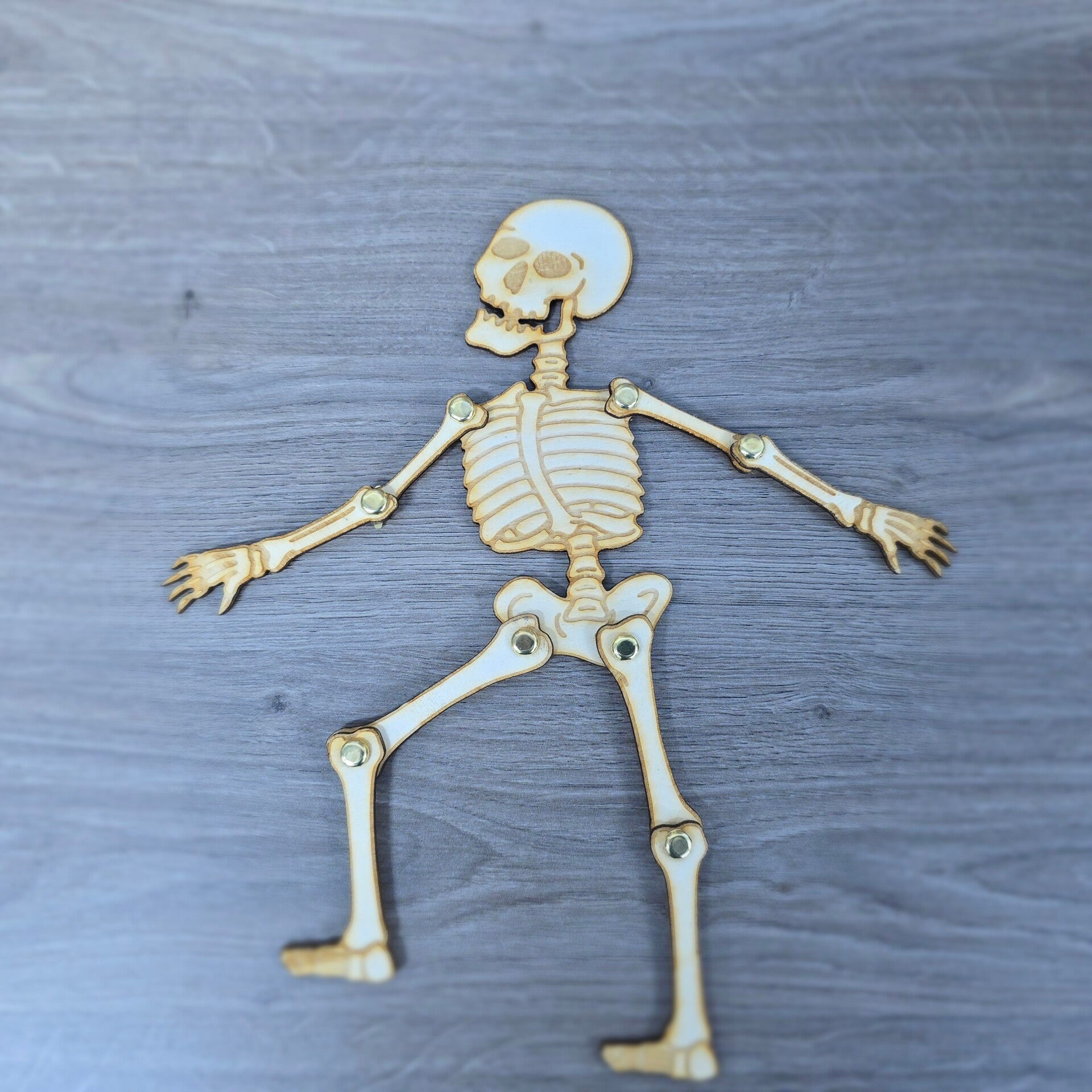 Wooden Skeleton DIY Craft Kit | Laser Cut Skeleton Cut Out | Halloween Decoration | Spooky DIY Craft | Arts & Crafts Gift