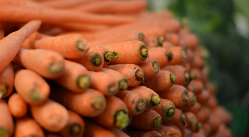 Gesundenuntersuchungen