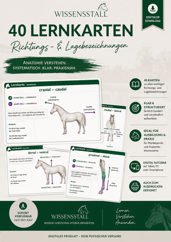 Lernkarten zu Skript A2 – Richtungs- & Lagebezeichnungen beim Pferd