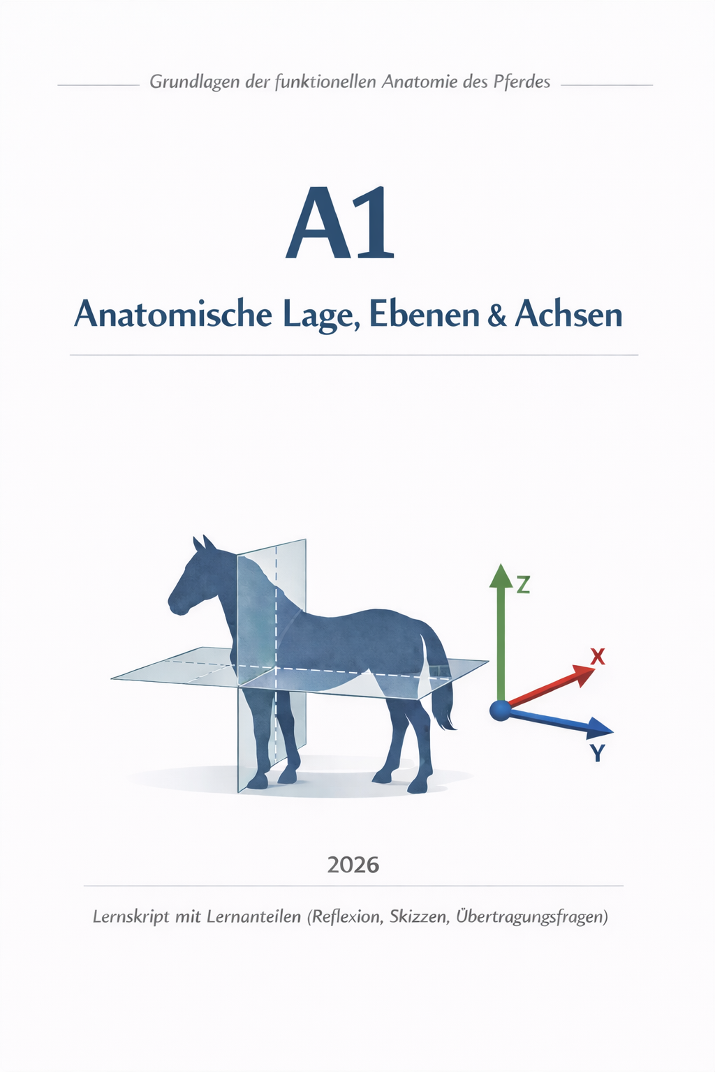 A1 „Anatomische Lage, Ebenen & Achsen“ - Digital -