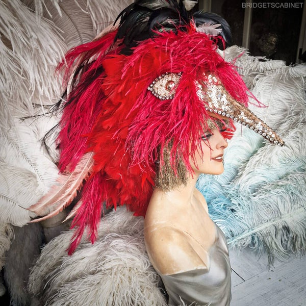 Paradise Bird Stage Headdress