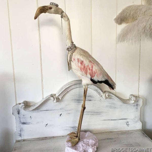 1930s Taxidermy Flamingo Mounted