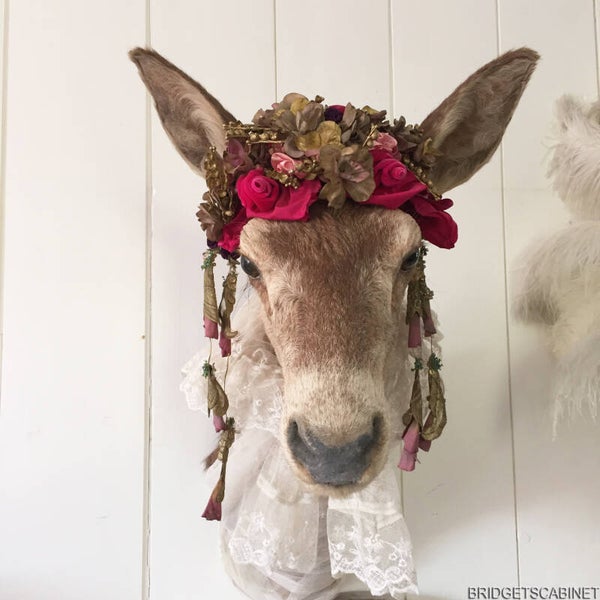 Enchanting Taxidermy Deer Head