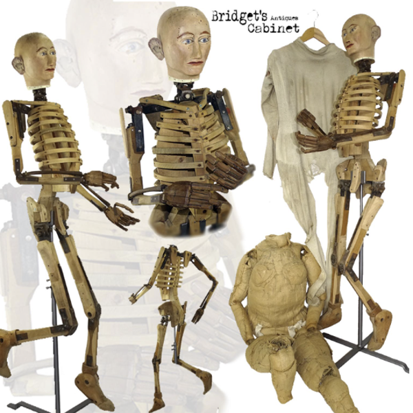 19th Century Artist Lay Figure Skeleton