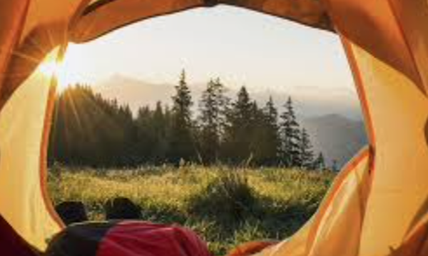 Summer Camp