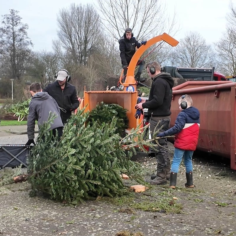 kerstboom-3-standard-rl9o2b.jpg