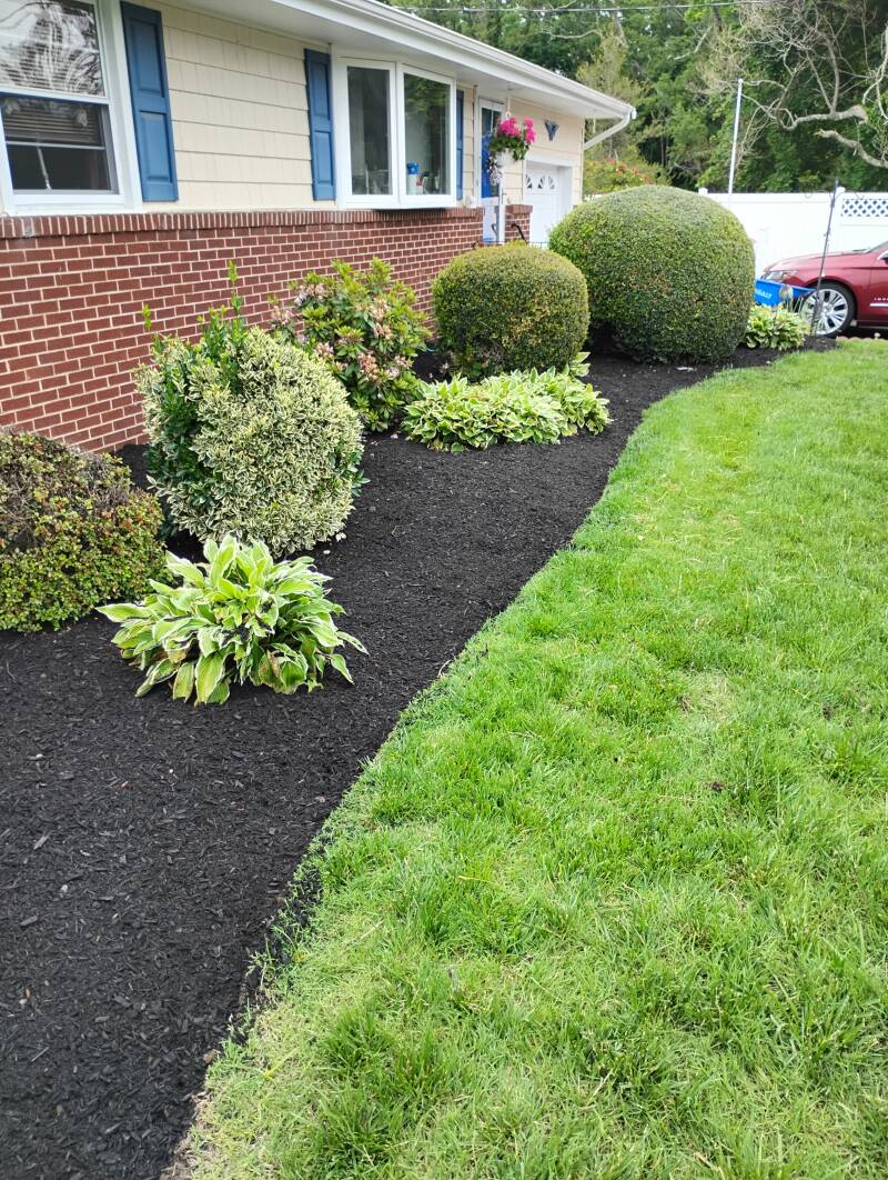 Black Mulch Installation Vineland NJ 