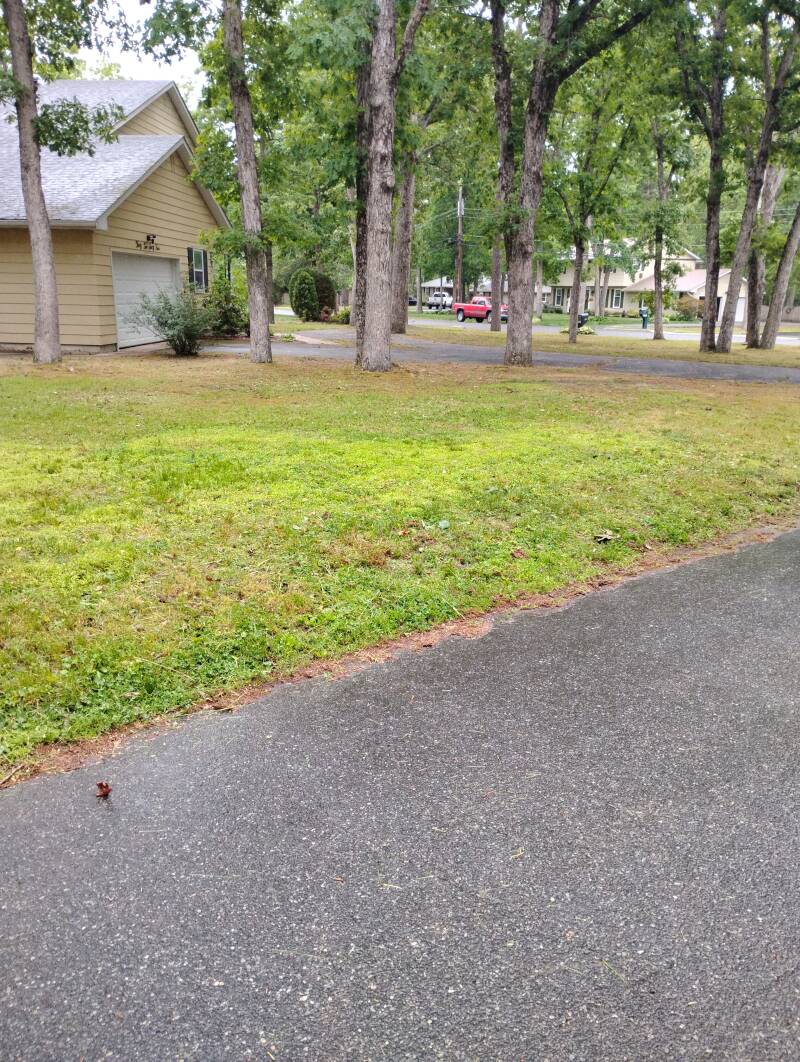 Lawn Maintenance Vineland NJ 