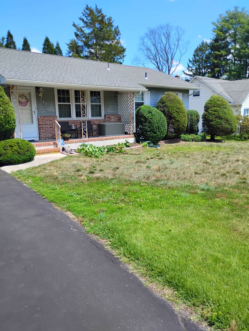 Bush Trimmer Vineland NJ 