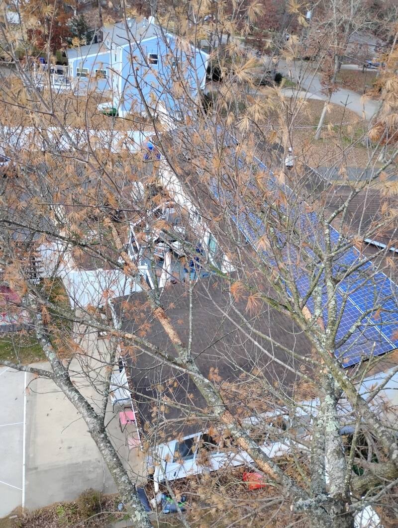 Tree Lift Service 55 Ft Millville NJ