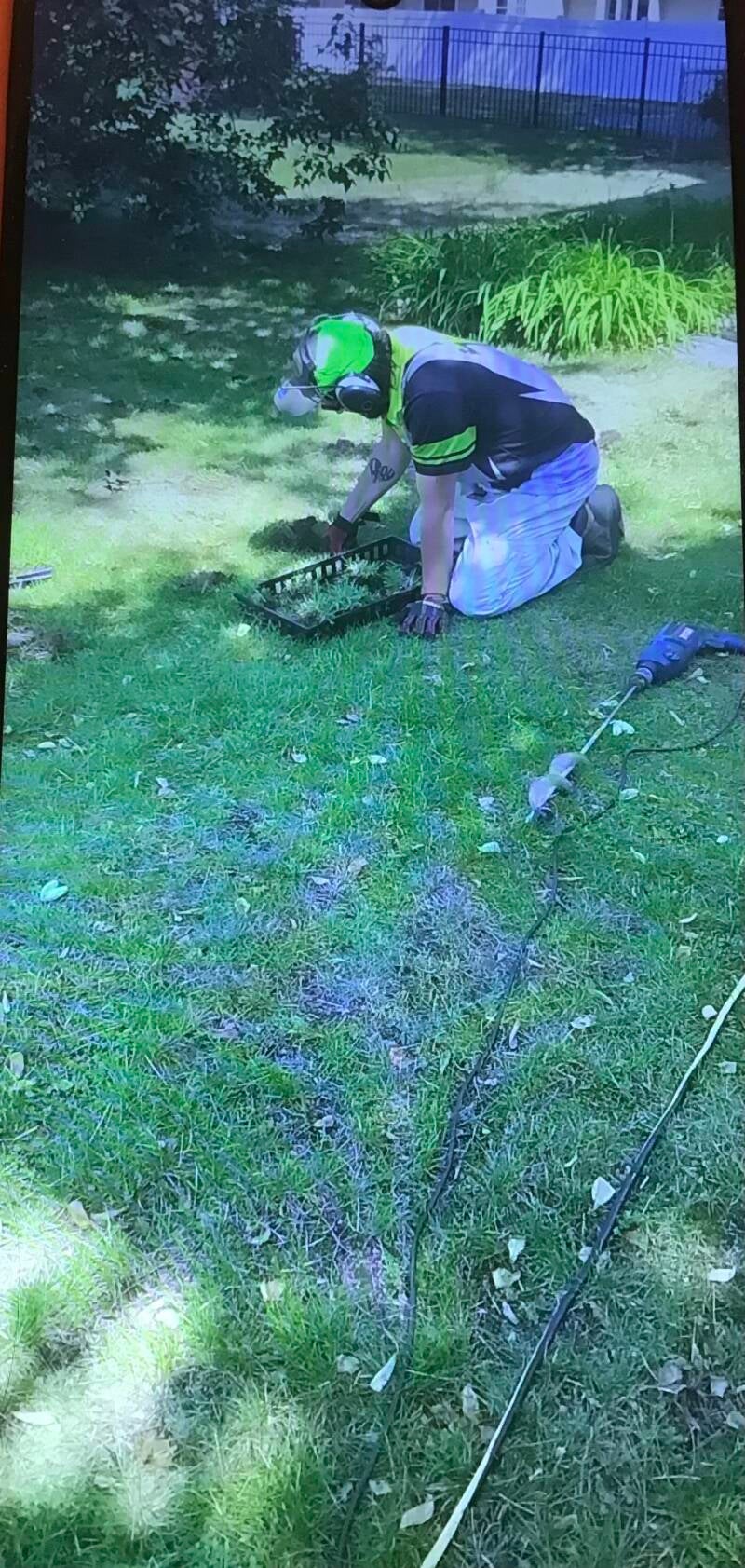 Zoysia Plugs Installation Greenwich Twp NJ