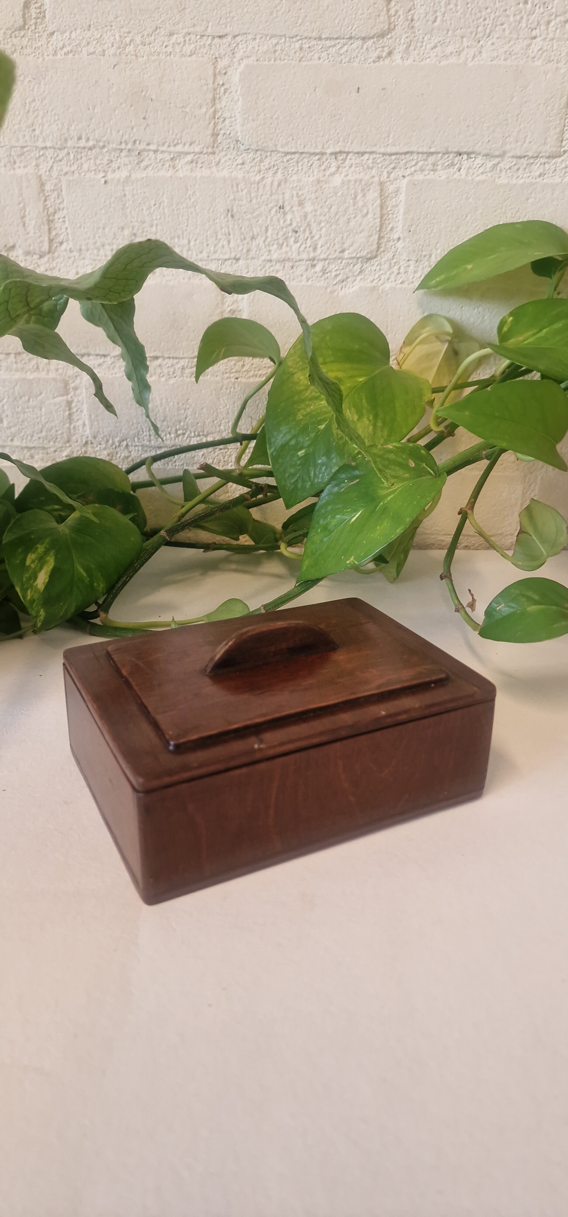 Vintage houten opberg bakje, art deco