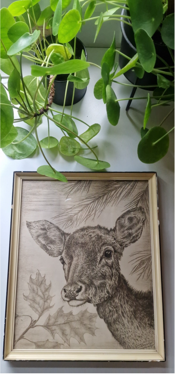 Vintage wanddecoratie – hertenkalf in lichte lijst – jaren ’60/'70