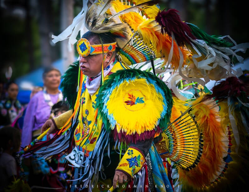 dsc_2428-edit-standard.jpg