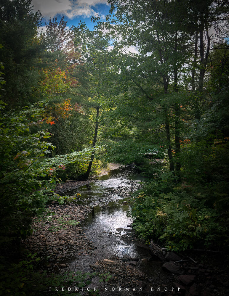 dsc_3074-edit-standard.jpg
