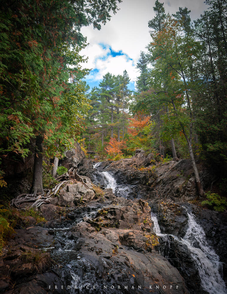 dsc_3114-edit-standard.jpg