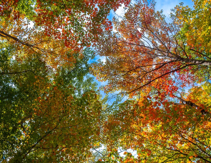 dsc_3168-edit-standard.jpg