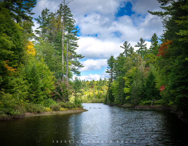 dsc_3174-edit-standard.jpg