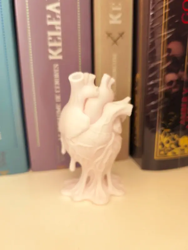 Décoration Heart Anatomy White