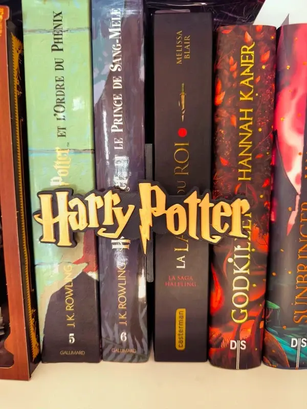 Insert Livre Harry Potter