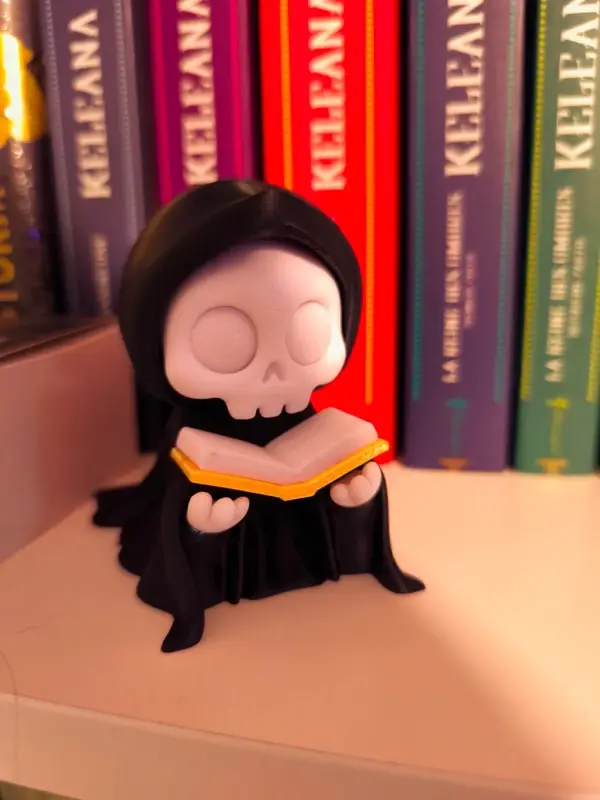 Déco 3D Reaper Reader