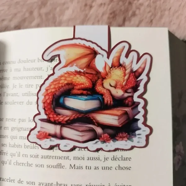 Marque-Page Magnétique Dragon Book II