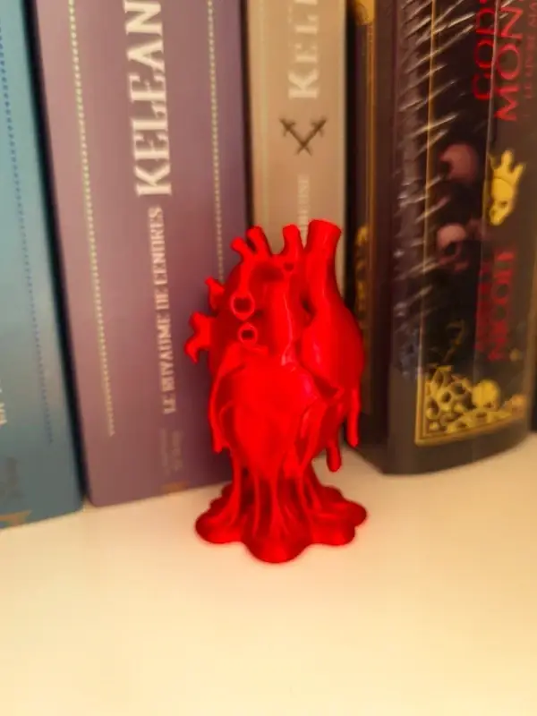 Décoration Heart Anatomy Red