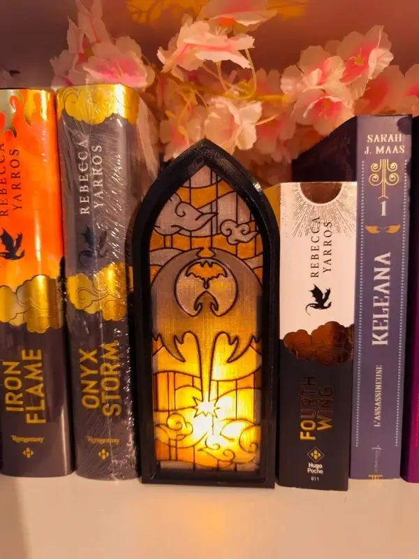 Box Bookmarks Inspiré Fourth Wing