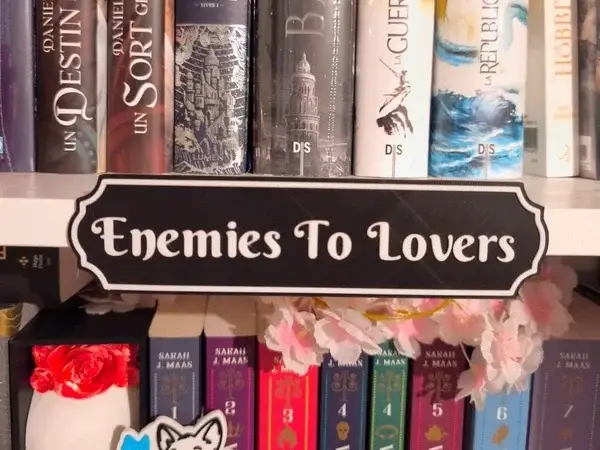 Plaque Enemies To Lovers II