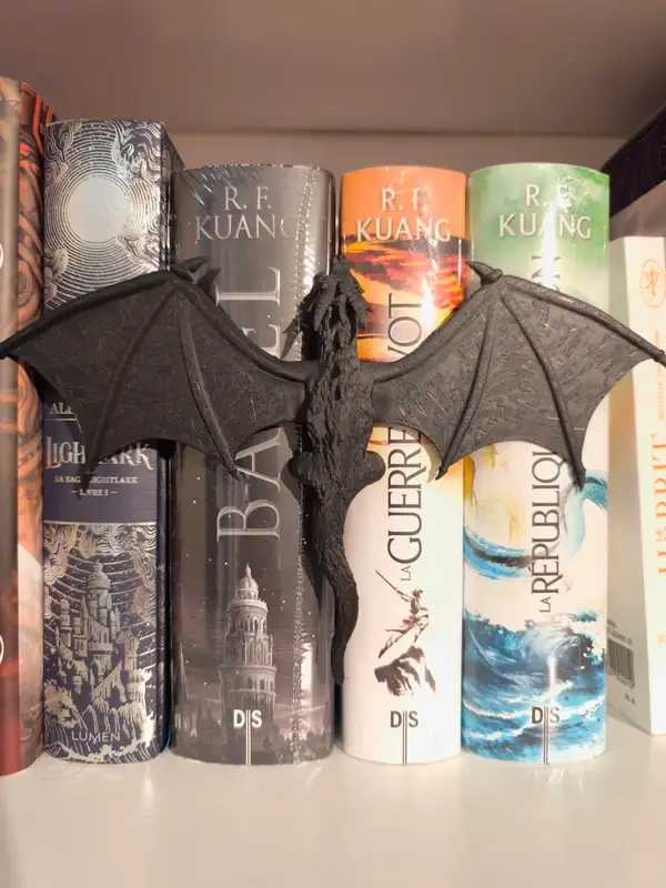 Insert Livre Dragon Black