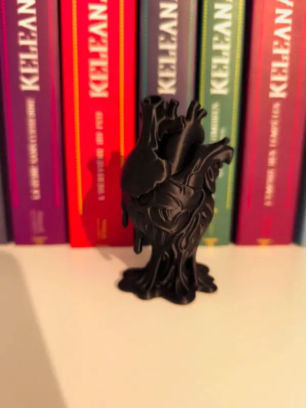 Décoration Heart Anatomy Noir