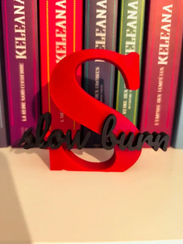 Lettre 3D S slow burn