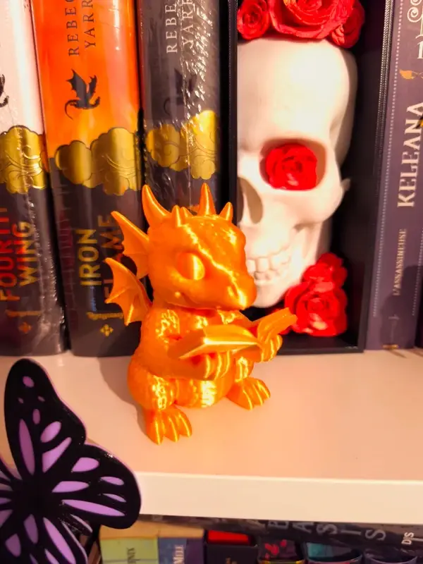 Dragon Reader Gold