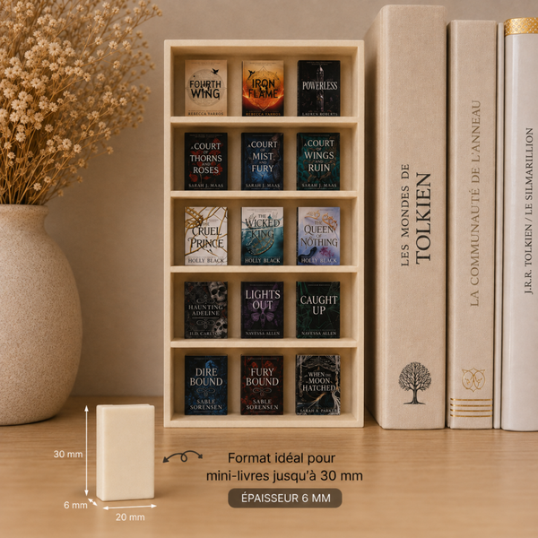 Lot de 10 Mini-Livres