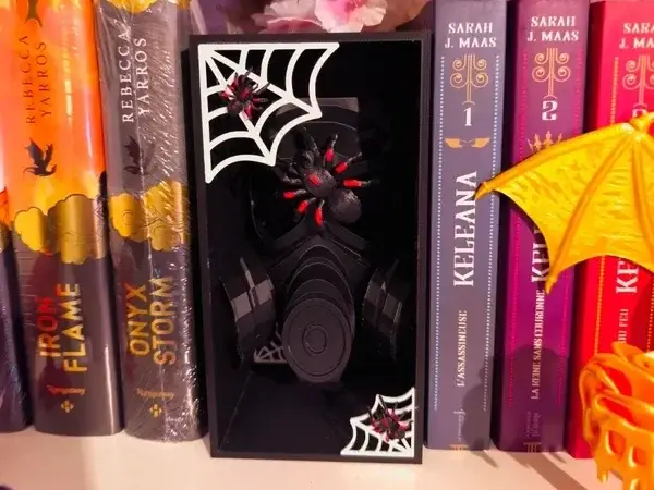 BookNook Little Stranger