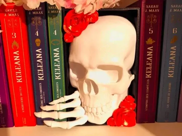BookNook Memento Mori