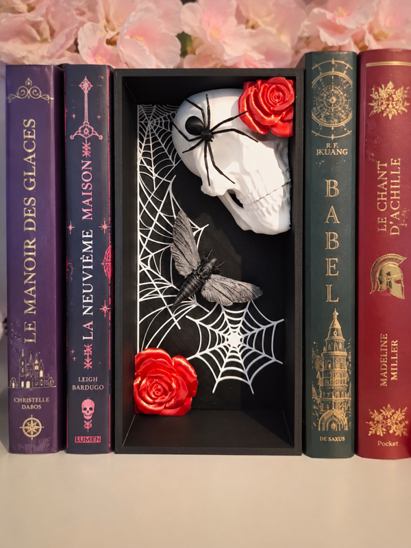 Booknook inspiré Haunting Adeline