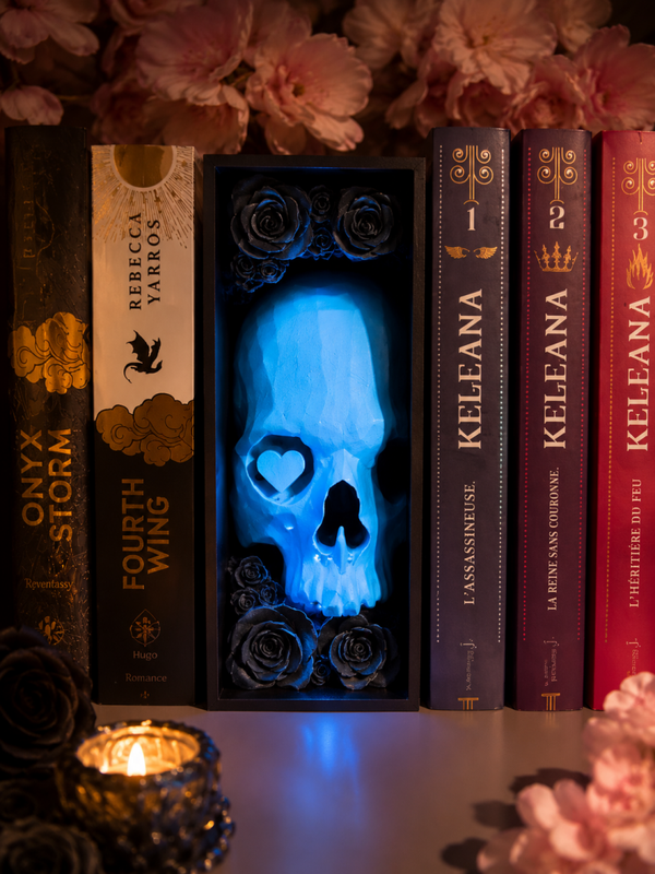 BookNook Lights Out