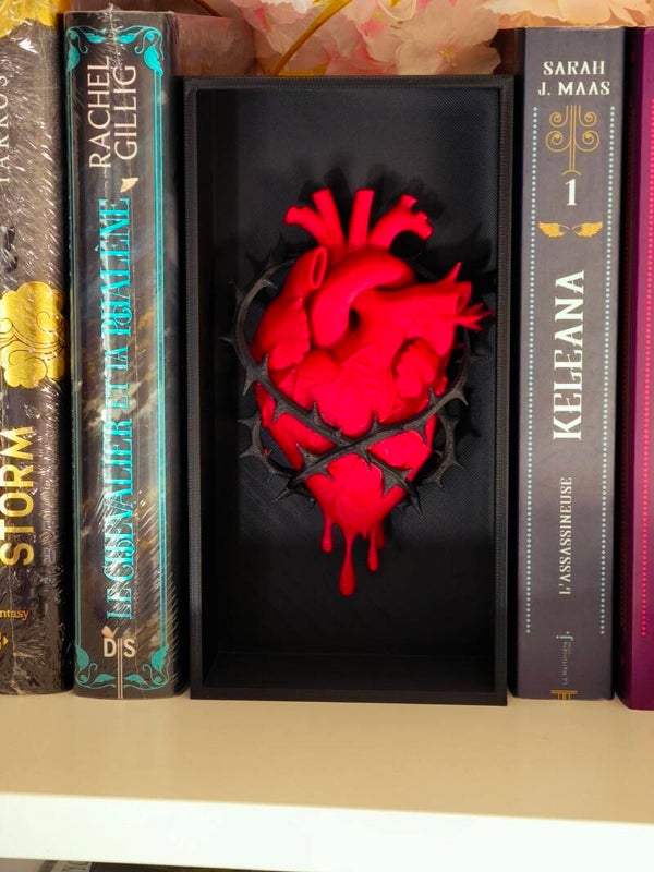 Booknook Dark Romance