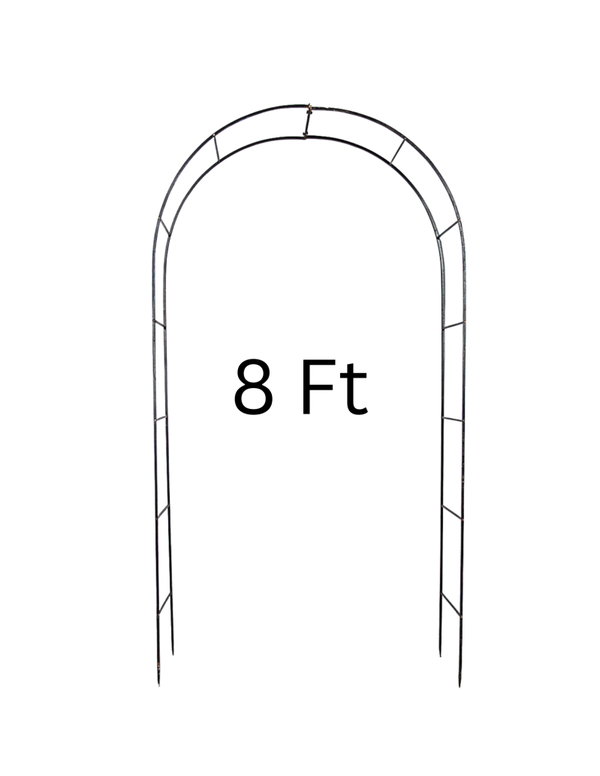 8ft walkthrough through arch