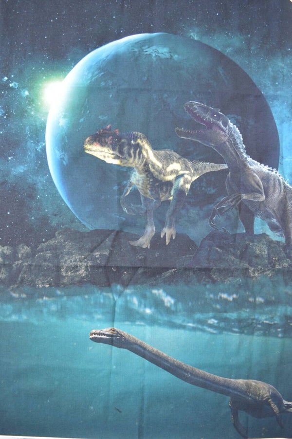 Panel Baumwolljersey Dinos Planet 70x50 cm