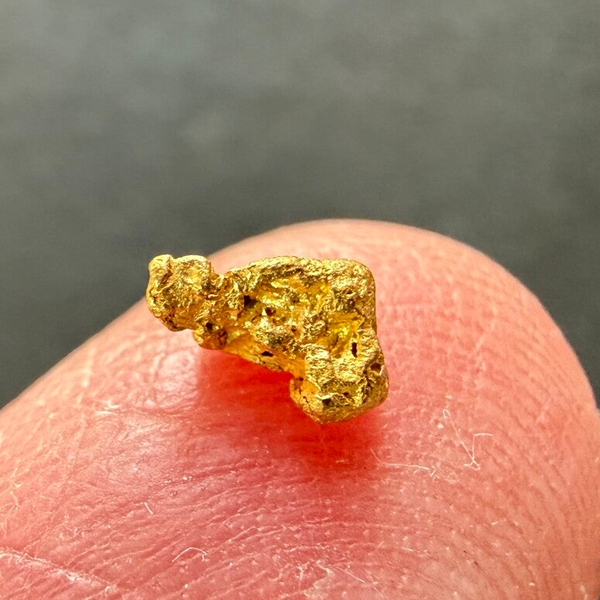 Gold Nugget, ca. 6 mm, 0.33 g aus Neuseeland (Grey River)