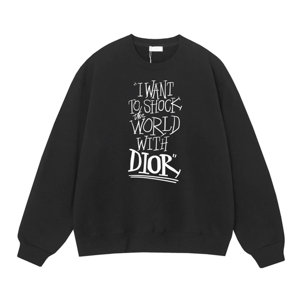 Hoodie / Dior