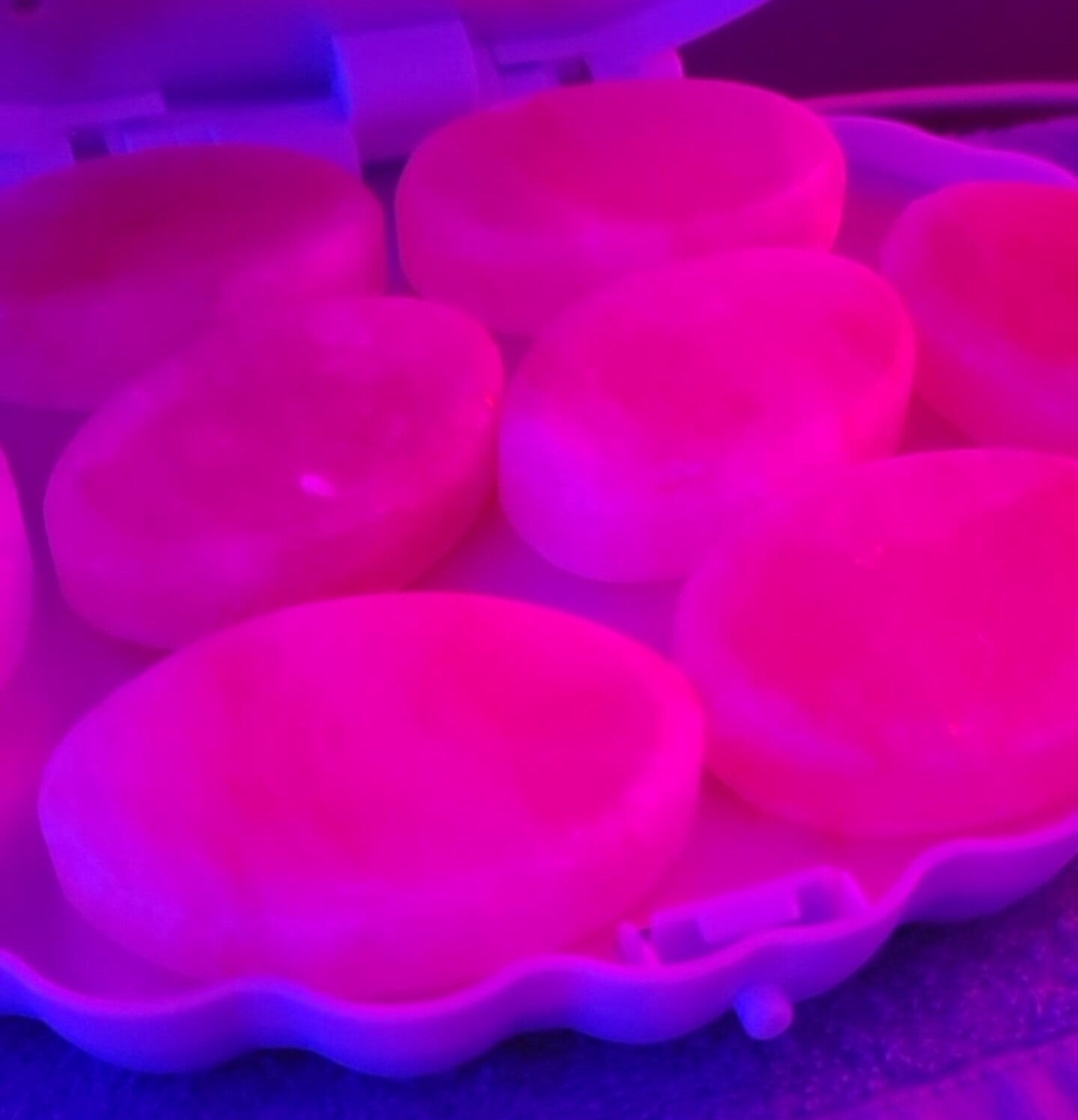 Close-up of heated massage stones at Synchrony Bodyworks