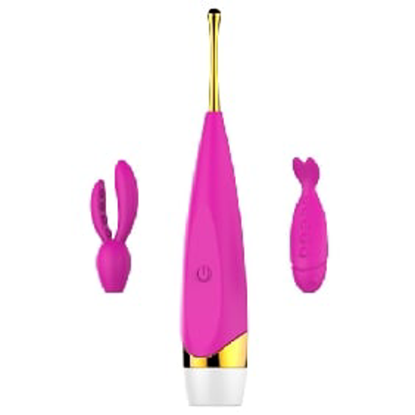 Pink Color 12-Speed Rechargeable High Frequency Vibrator with 2 Silicone Heads