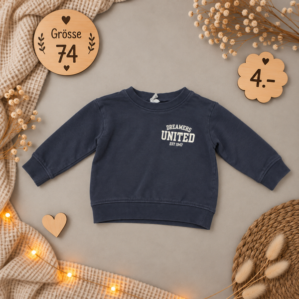 Pullover grau 74