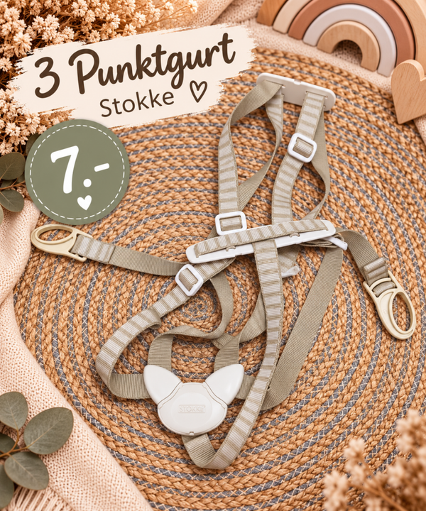 3 Punktgurt Stokke